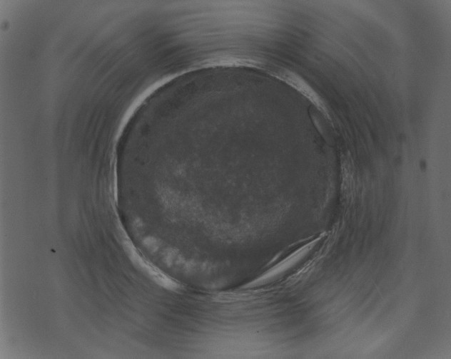 X0000070861132200606231246