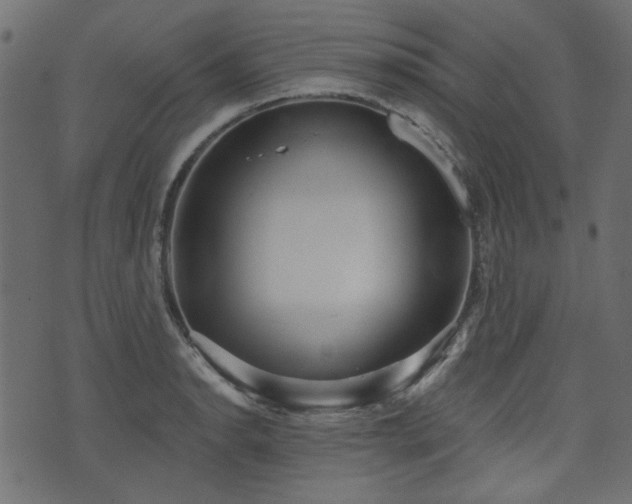 X0000070861134200606231246