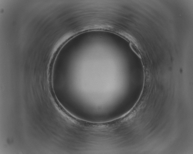 X0000070861135200606231246