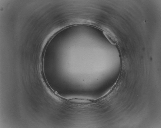 X0000070861136200606231246