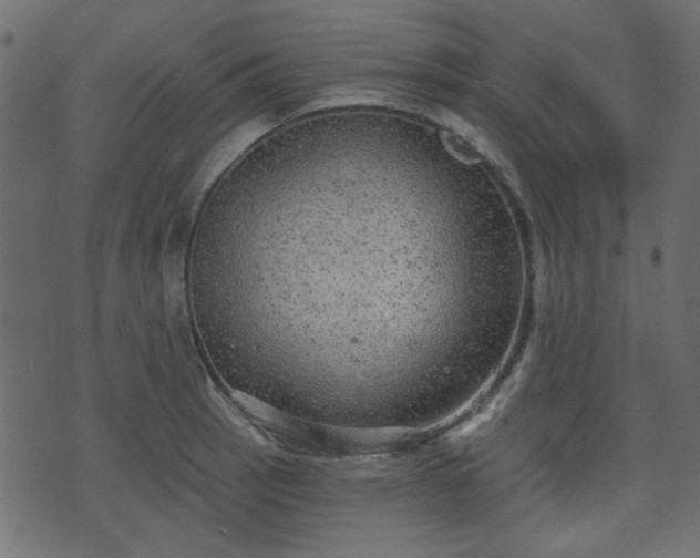 X0000070861137200606231246