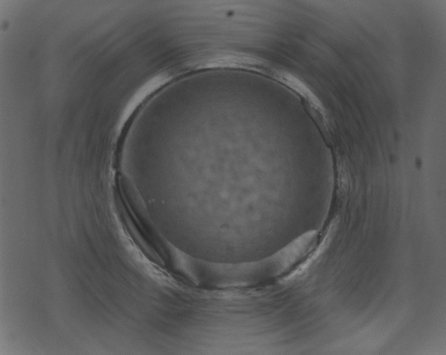 X0000070861138200606231246