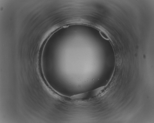 X0000070861139200606231246