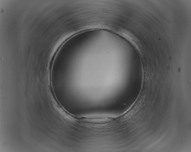 X0000070861140200606231246