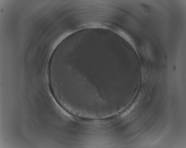 X0000070861141200606231246