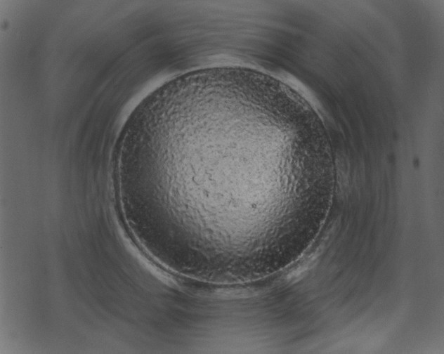 X0000070861142200606231246