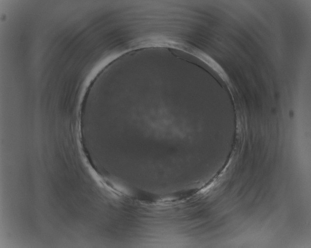 X0000070861144200606231246