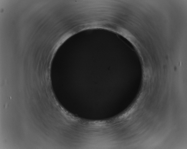 X0000070861145200606231246