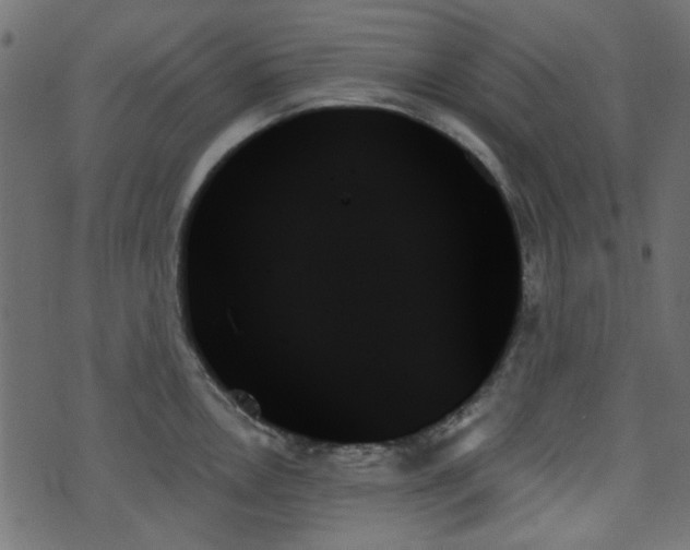 X0000070861146200606231246