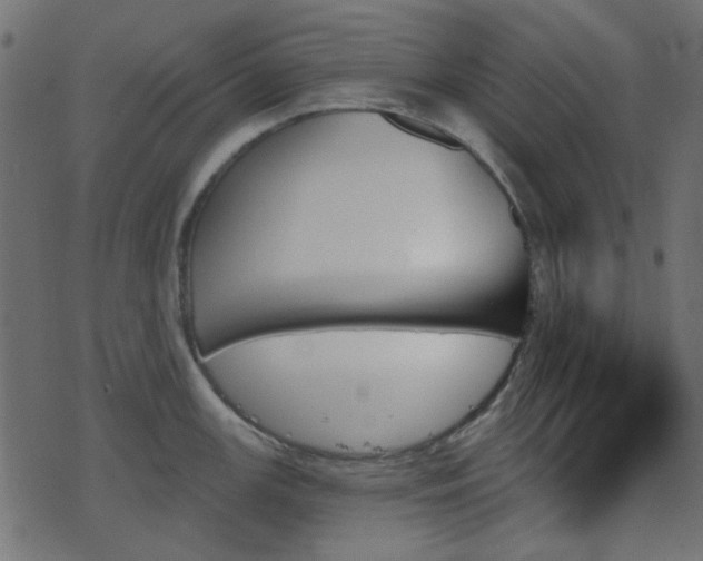 X0000070861147200606231246