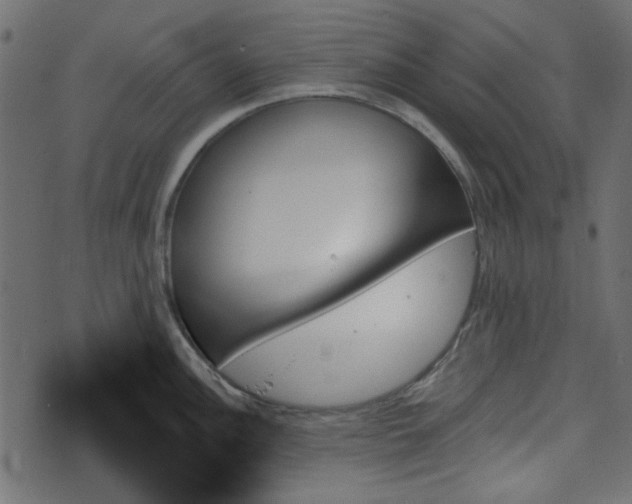 X0000070861148200606231246