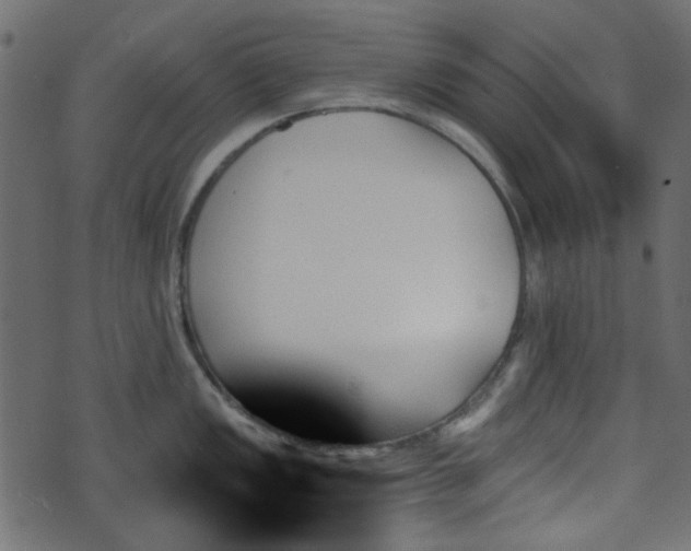 X0000070861149200606231246