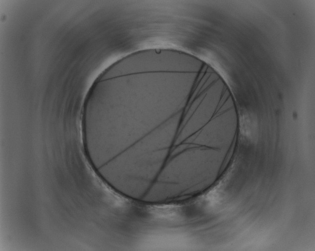 X0000070861150200606231246