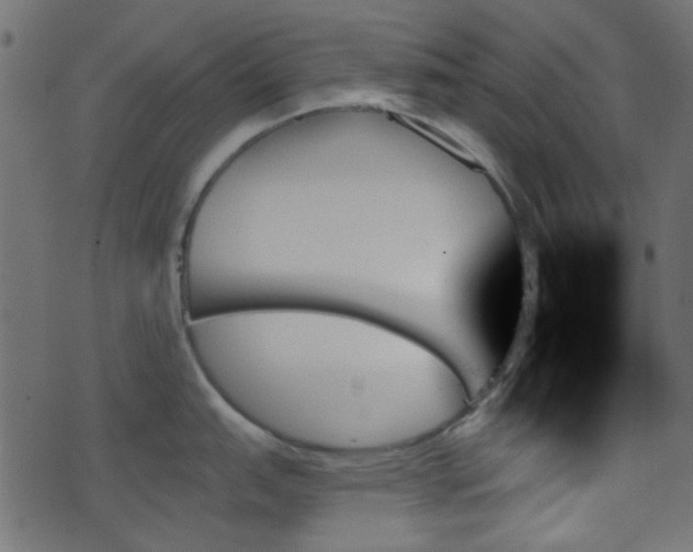 X0000070861151200606231246