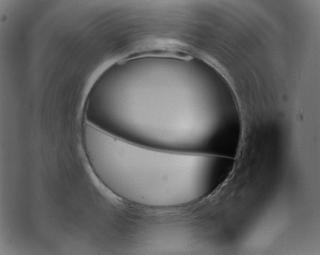 X0000070861152200606231246