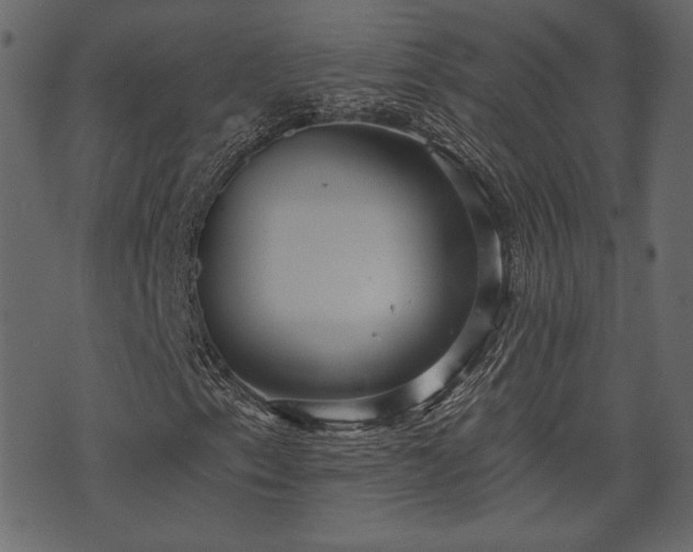 X0000070861153200606231246