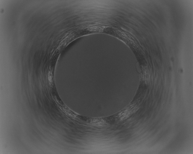 X0000070861154200606231246