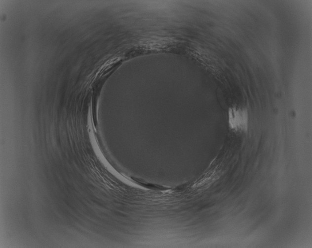 X0000070861155200606231246