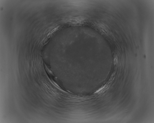 X0000070861156200606231246