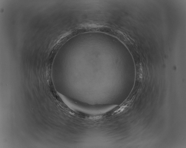 X0000070861157200606231246