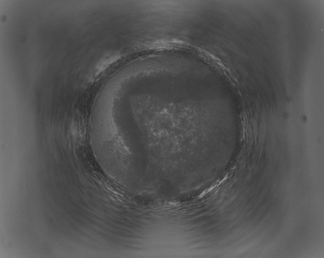 X0000070861158200606231246