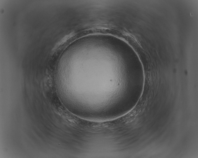 X0000070861159200606231246