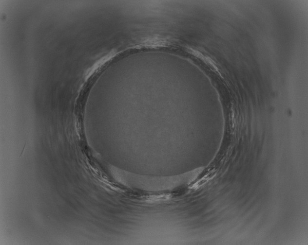 X0000070861160200606231246