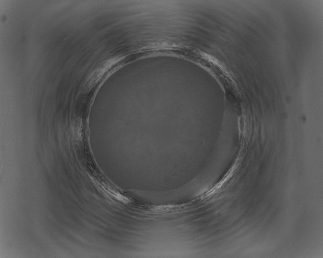 X0000070861161200606231246