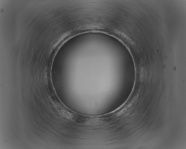 X0000070861162200606231245