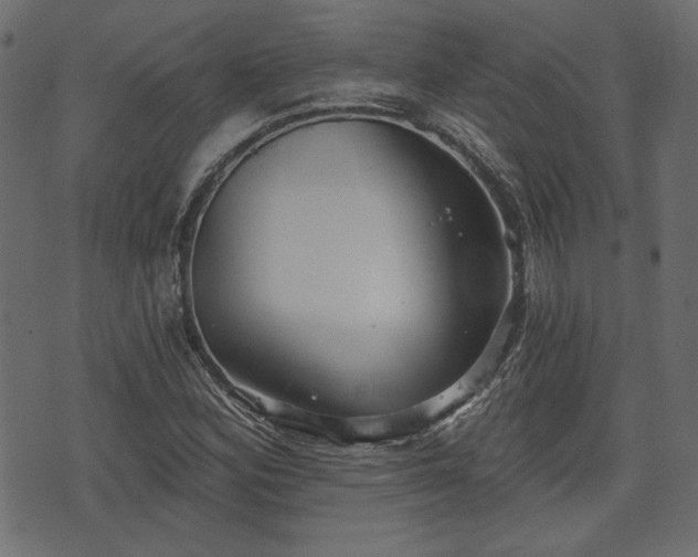 X0000070861164200606231245