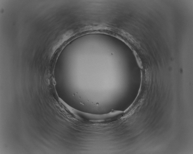 X0000070861165200606231245