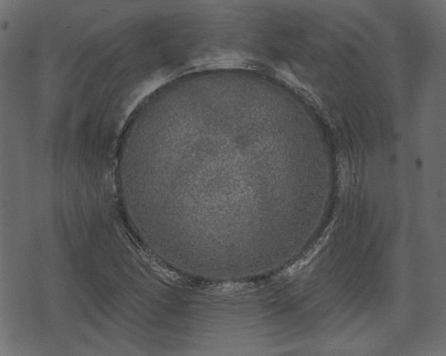 X0000070861166200606231245