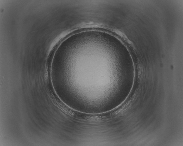 X0000070861167200606231245