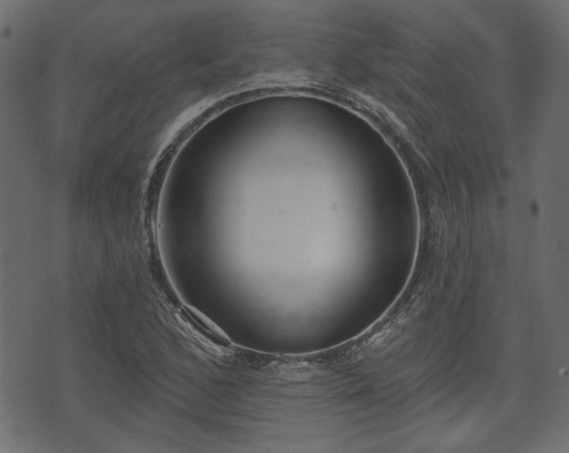 X0000070861168200606231245