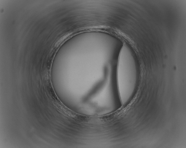 X0000070861169200606231245