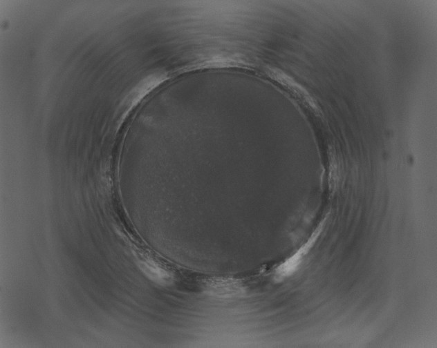 X0000070861170200606231245