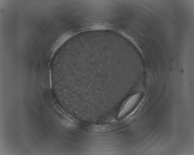 X0000070861171200606231245