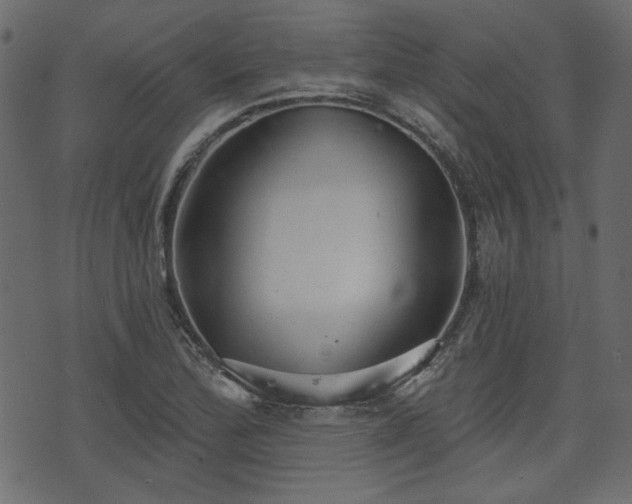 X0000070861172200606231245