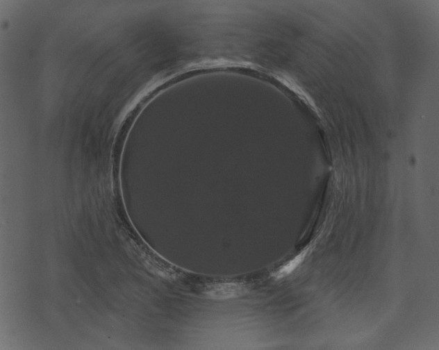 X0000070861173200606231245