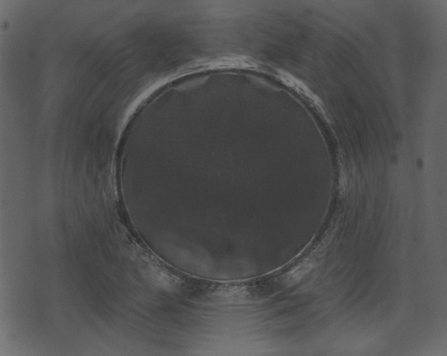 X0000070861174200606231245