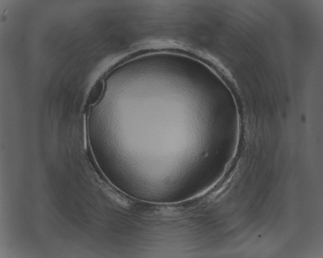 X0000070861175200606231245