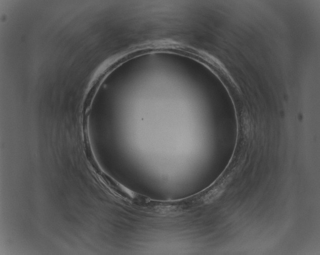 X0000070861176200606231245