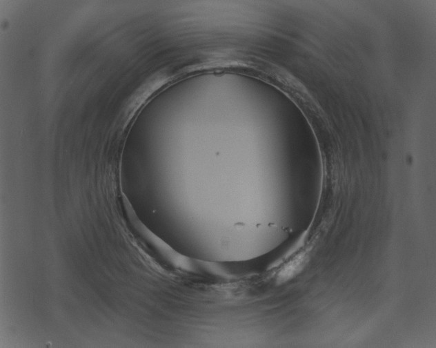 X0000070861177200606231245