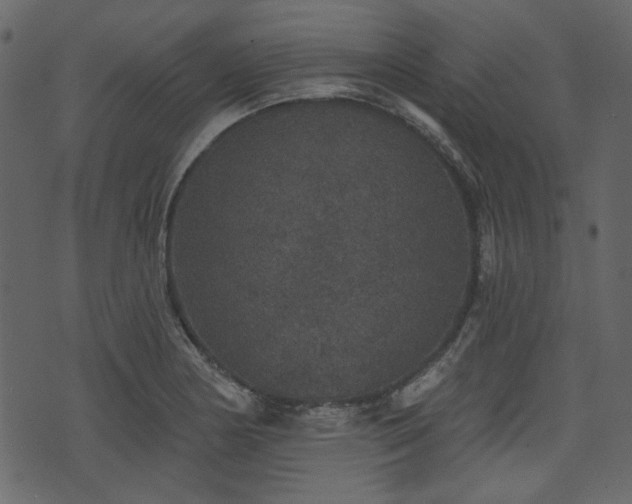 X0000070861178200606231245