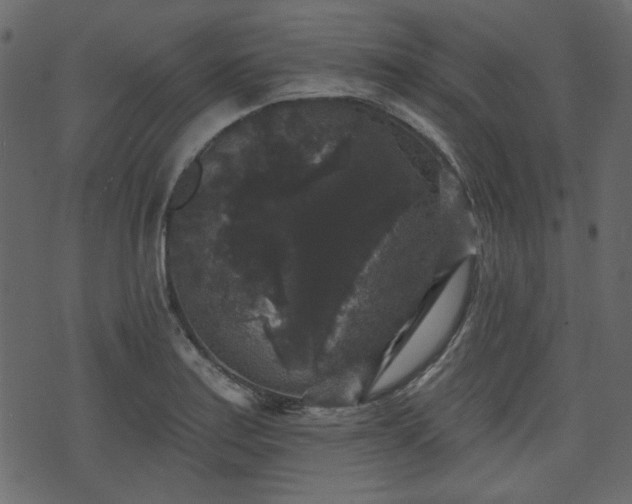 X0000070861179200606231245