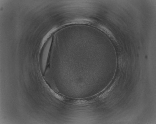 X0000070861180200606231245