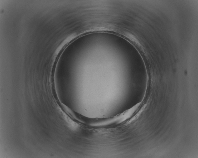 X0000070861181200606231245