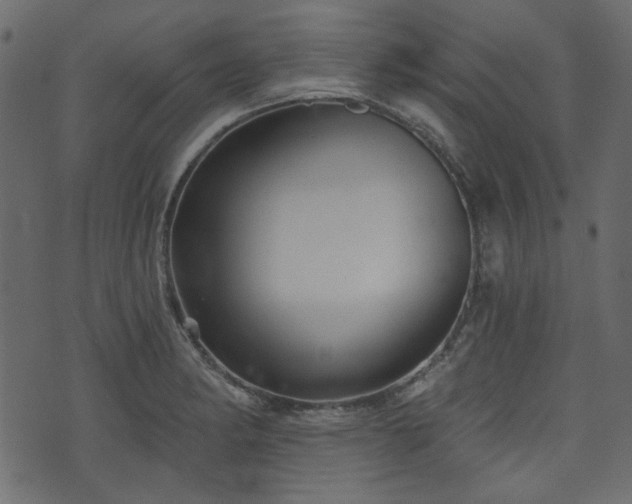 X0000070861182200606231245