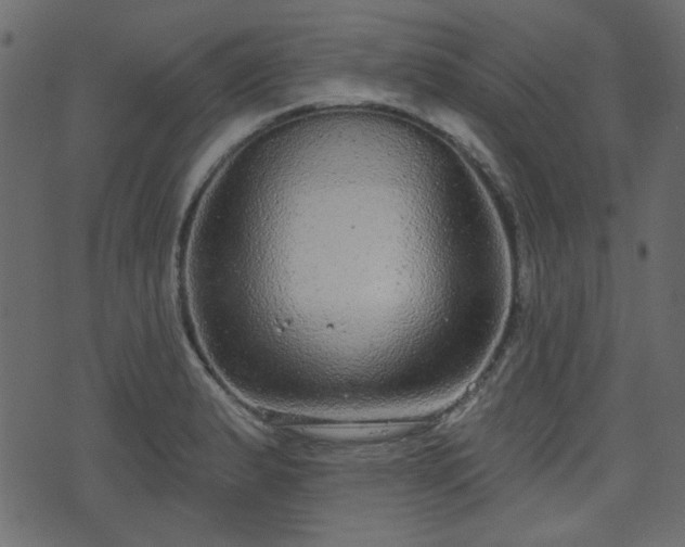 X0000070861183200606231245