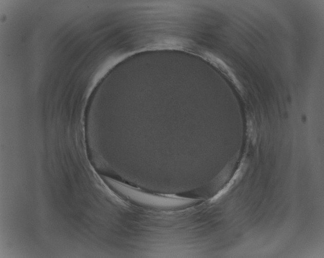 X0000070861184200606231245